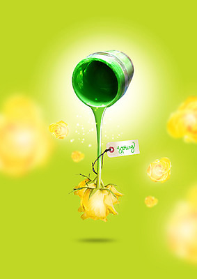 PSD 편집 편집이미지 꽃잎 자연 사람없음 초록색 장미 노란색 라벨 페인트 물감 봄 붓기 페인트통 이미지편집 계절 꽃 컬러 모션 프레임 통 미술도구 생태계 파일형식