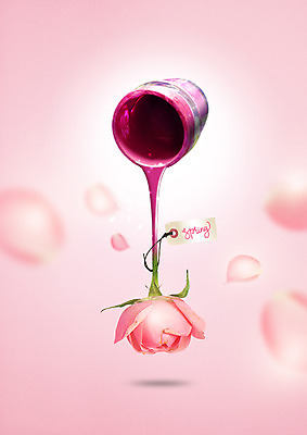 PSD 편집 편집이미지 꽃잎 분홍색 자연 사람없음 장미 라벨 페인트 물감 봄 붓기 페인트통 이미지편집 계절 꽃 컬러 모션 프레임 통 미술도구 생태계 파일형식