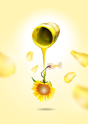 PSD 편집 편집이미지 꽃잎 자연 해바라기 사람없음 노란색 라벨 페인트 물감 봄 붓기 페인트통 이미지편집 계절 꽃 컬러 모션 프레임 통 미술도구 생태계 파일형식