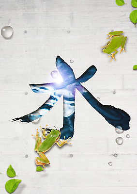 PSD 편집 편집이미지 두마리 자연 나뭇잎 개구리 사람없음 한자 물방울 청개구리 물수 이미지편집 문자 잎 2 양서류 생태계 파일형식