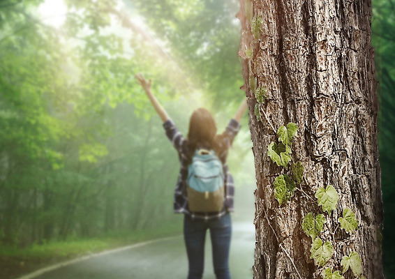 PSD 나무 편집 편집이미지 여자 여행 배낭 한명 20대 성인 뒷모습 만세 한국인 담쟁이덩굴 덩굴 숲 안식처 성인여자한명만 이미지편집 식물 1 뷰포인트 가방 모션 휴식 사람 동양인 청년 여자한명만 성인여자만 파일형식