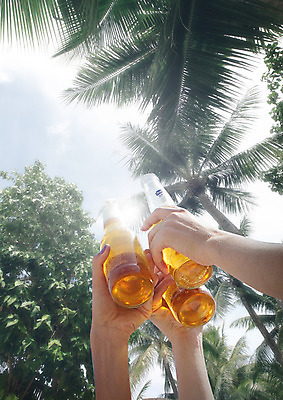 PSD 편집 편집이미지 손 로우앵글 여행 맥주 한손 들기 신체부위 세명 여름휴가 바캉스 야자수 건배 맥주병 이미지편집 나무 뷰포인트 모션 술병 휴가 주류 사람 파일형식 여름_계절