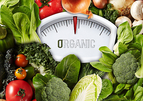 PSD 편집 편집이미지 채소 식재료 방울토마토 호박 양파 저울 사람없음 버섯 브로콜리 배추 유기농 눈금 청경채 이미지편집 웰빙 토마토 파일형식