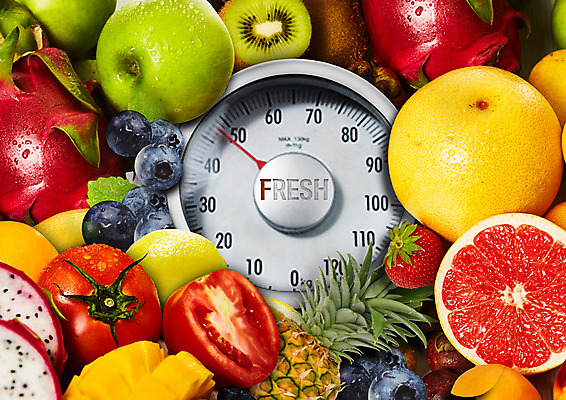 PSD 편집 편집이미지 토마토 과일 딸기 단면 저울 키위 사람없음 신선 사과 자몽 파인애플 유기농 눈금 블루베리 청사과 용과 이미지편집 웰빙 채소 열대과일 파일형식