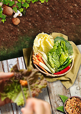 PSD 편집 편집이미지 접시 손 채소 젓가락 고추 오이 버섯 흙 당근 상추 배추 유기농 채반 쌈채소 이미지편집 그릇 식기 웰빙 뿌리채소 수저 신체부위 파일형식