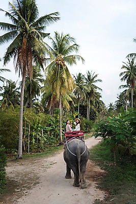 포토 JPG 주간 여자 해외여행 여행 파타야 태국 휴가 웃음 앉기 상반신 20대 성인 야외 두명 옆모습 친구 야자수 우정 트래킹 한국인 뒤돌아보기 즐거움 코끼리트래킹 성인여자만 국내포토 자연요소 나무 해외 감정 아시아 뷰포인트 관계 모션 레저 표정 사람 동양인 청년 여자만 성인만 파일형식