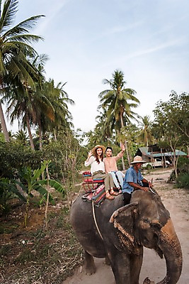 포토 JPG 주간 전신 외국인 여자 남자 해외여행 여행 파타야 태국 휴가 웃음 앉기 20대 성인 야외 앞모습 세명 친구 야자수 우정 트래킹 한국인 인사 즐거움 코끼리트래킹 국내포토 자연요소 나무 해외 감정 아시아 뷰포인트 관계 모션 레저 표정 사람 동양인 인종 청년 예절 파일형식