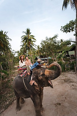 포토 JPG 주간 전신 외국인 여자 남자 해외여행 여행 파타야 태국 휴가 웃음 앉기 20대 성인 야외 옆모습 세명 친구 야자수 우정 트래킹 한국인 즐거움 코끼리트래킹 국내포토 자연요소 나무 해외 감정 아시아 뷰포인트 관계 모션 레저 표정 사람 동양인 인종 청년 파일형식