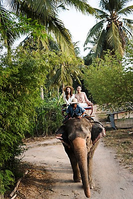 포토 JPG 주간 전신 외국인 여자 남자 해외여행 여행 파타야 태국 휴가 웃음 앉기 20대 성인 야외 앞모습 세명 친구 야자수 우정 트래킹 한국인 즐거움 코끼리트래킹 국내포토 자연요소 나무 해외 감정 아시아 뷰포인트 관계 모션 레저 표정 사람 동양인 인종 청년 파일형식