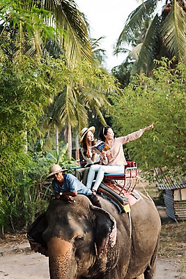 포토 JPG 주간 전신 외국인 응시 여자 남자 해외여행 여행 파타야 태국 휴가 웃음 들기 앉기 20대 성인 야외 앞모습 세명 친구 야자수 우정 트래킹 한국인 가리킴 즐거움 코끼리트래킹 국내포토 자연요소 나무 해외 시선 감정 아시아 뷰포인트 관계 모션 레저 표정 사람 동양인 인종 손짓 청년 파일형식