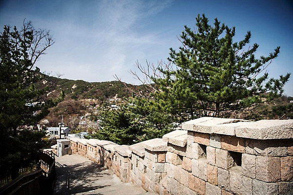 포토 JPG 주간 나무 서울 한국 돌담 풍경 사람없음 야외 봄풍경 소나무 성벽 성곽길 북악산 국내포토 자연요소 식물 아시아 길 산 담장 봄 돌_바위 파일형식