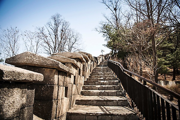 포토 JPG 주간 나무 로우앵글 서울 한국 풍경 사람없음 야외 계단 봄풍경 산책로 원근감 성곽길 북악산 국내포토 자연요소 식물 아시아 길 뷰포인트 산 봄 파일형식