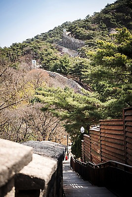 포토 JPG 주간 나무 서울 한국 풍경 사람없음 야외 봄풍경 원근감 소나무 성곽길 북악산 국내포토 자연요소 식물 아시아 길 뷰포인트 산 봄 파일형식