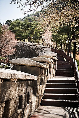 포토 JPG 주간 나무 서울 한국 풍경 사람없음 야외 계단 봄풍경 산책로 원근감 성곽길 북악산 국내포토 자연요소 식물 아시아 길 뷰포인트 산 봄 파일형식