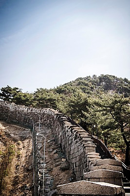 포토 JPG 주간 나무 서울 한국 돌담 풍경 사람없음 야외 봄풍경 산책로 소나무 성벽 성곽길 북악산 국내포토 자연요소 식물 아시아 길 산 담장 봄 돌_바위 파일형식