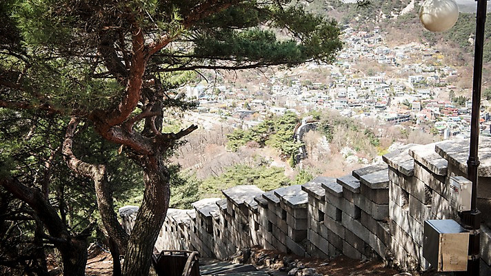 포토 JPG 주간 서울 한국 돌담 풍경 사람없음 야외 마을 봄풍경 소나무 성벽 성곽길 북악산 국내포토 자연요소 나무 아시아 길 산 담장 봄 돌_바위 파일형식