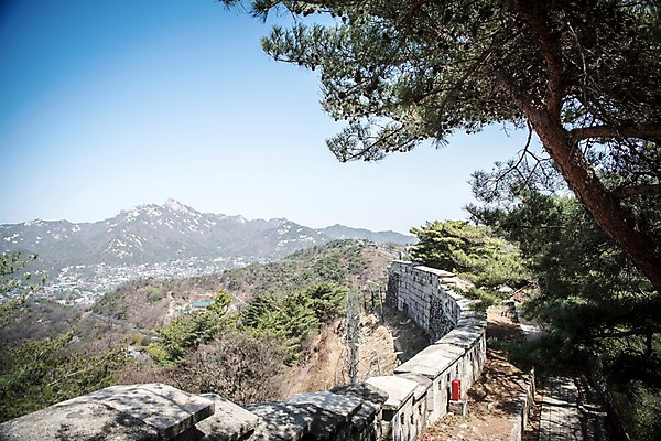 포토 JPG 주간 나무 서울 한국 풍경 사람없음 야외 봄풍경 소나무 성벽 성곽길 북악산 국내포토 자연요소 식물 아시아 길 산 봄 파일형식