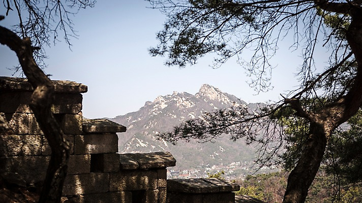포토 JPG 주간 나무 산 서울 한국 풍경 사람없음 야외 봄풍경 역광 성곽길 북악산 국내포토 자연요소 식물 아시아 길 봄 파일형식