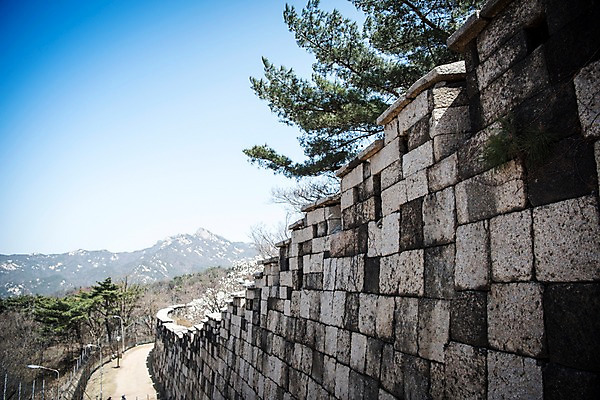 포토 JPG 주간 나무 서울 한국 돌담 풍경 사람없음 야외 봄풍경 원근감 성벽 성곽길 북악산 국내포토 자연요소 식물 아시아 길 뷰포인트 산 담장 봄 돌_바위 파일형식