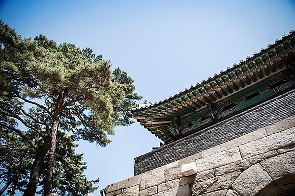 포토 JPG 주간 로우앵글 고건축 한국건축 서울 한국 풍경 사람없음 야외 봄풍경 소나무 성문 숙정문 성곽길 북악산 국내포토 자연요소 나무 건축물 건축 아시아 길 뷰포인트 산 봄 성 파일형식