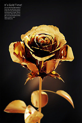 PSD 편집 편집이미지 한송이 사람없음 장미 3D 금색 황금 디지털합성 오브젝트 편집소스 편집3D 1 꽃 컬러 송이 파일형식