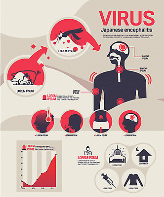 옷 남자 실루엣 일러스트 인체모형 그래프 주택 주사기 여러명 신체부위 픽토그램 인포그래픽 의사 돼지 바이러스 온도계 체온계 두통 감염 구토 모기장 복통 일본뇌염 국내일러스트 AI파일 다수 포유류 의료기기 촬영기법 사람 건물 모형 의료진 질병 증상 파일형식 벡터