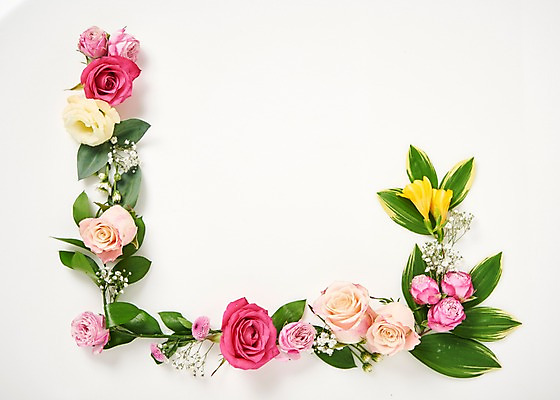 포토 JPG 스튜디오촬영 꽃 백그라운드 봄꽃 프레임 실내 사람없음 하이앵글 장미 소국 프리지어 붐바스틱 국내포토 식물 뷰포인트 내부 봄 파일형식