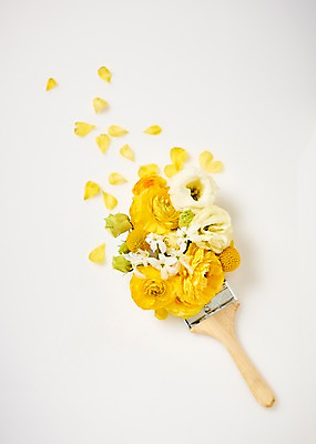 포토 JPG 스튜디오촬영 꽃 백그라운드 봄꽃 실내 사람없음 하이앵글 노란색 붓 라넌큘러스 리시안셔스 국내포토 식물 뷰포인트 컬러 내부 봄 파일형식