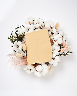 포토 JPG 스튜디오촬영 꽃 종이 백그라운드 프레임 실내 사람없음 하이앵글 목화꽃 목화솜 라그라스 국내포토 식물 뷰포인트 내부 솜 파일형식