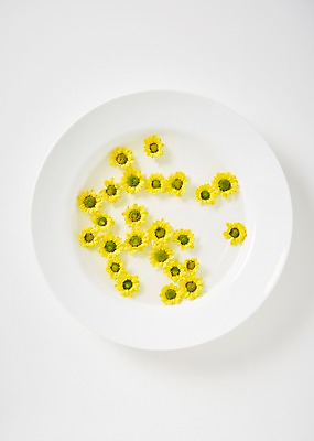 포토 JPG 스튜디오촬영 그릇 꽃 백그라운드 봄꽃 실내 사람없음 하이앵글 소국 국내포토 식물 식기 뷰포인트 내부 봄 파일형식