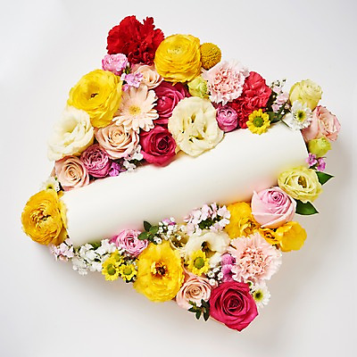 포토 JPG 스튜디오촬영 꽃 백그라운드 프레임 실내 사람없음 하이앵글 장미 카네이션 소국 거베라 패랭이꽃 라넌큘러스 리시안셔스 류코코리네 골든볼 붐바스틱 국내포토 식물 뷰포인트 내부 파일형식