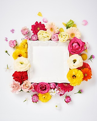 포토 JPG 스튜디오촬영 그릇 꽃 백그라운드 프레임 실내 사람없음 하이앵글 장미 카네이션 소국 거베라 패랭이꽃 라넌큘러스 리시안셔스 류코코리네 붐바스틱 국내포토 식물 식기 뷰포인트 내부 파일형식