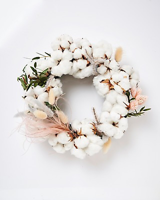 포토 JPG 스튜디오촬영 꽃 백그라운드 실내 사람없음 하이앵글 목화꽃 목화솜 라그라스 국내포토 식물 뷰포인트 내부 솜 파일형식