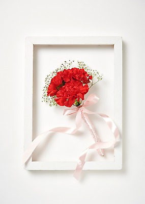 포토 JPG 스튜디오촬영 꽃 리본 꽃다발 액자 백그라운드 실내 액자틀 사람없음 하이앵글 어버이날 5월 스승의날 카네이션 5월행사 안개꽃 국내포토 식물 기념일 뷰포인트 틀 이벤트 내부 날짜 한해살이풀 파일형식