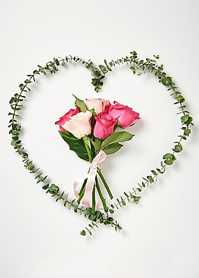 포토 JPG 스튜디오촬영 꽃 리본 백그라운드 실내 사람없음 하이앵글 장미 유칼립투스 국내포토 식물 뷰포인트 내부 파일형식