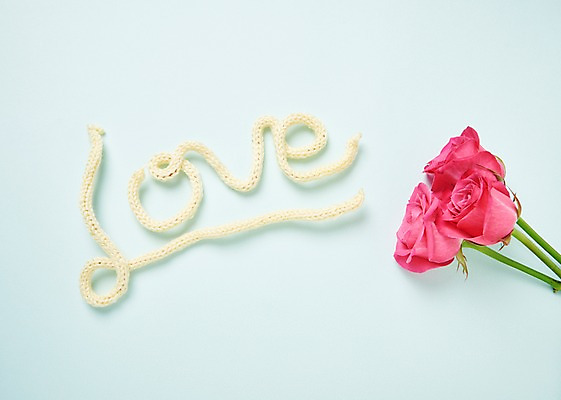 포토 JPG 스튜디오촬영 알파벳 꽃 백그라운드 실내 사랑 사람없음 하이앵글 장미 국내포토 식물 영어 감정 뷰포인트 내부 파일형식