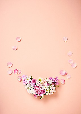 포토 JPG 스튜디오촬영 꽃잎 꽃 백그라운드 프레임 실내 사람없음 하이앵글 장미 소국 안개꽃 붐바스틱 국내포토 식물 뷰포인트 내부 한해살이풀 파일형식