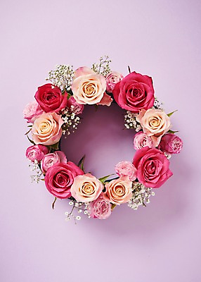 포토 JPG 스튜디오촬영 꽃 분홍색 백그라운드 실내 사람없음 하이앵글 장미 안개꽃 국내포토 식물 뷰포인트 컬러 내부 한해살이풀 파일형식