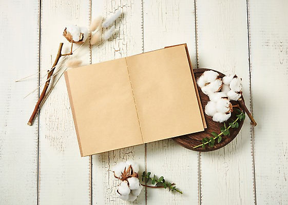 포토 JPG 스튜디오촬영 꽃 백그라운드 프레임 실내 사람없음 하이앵글 다이어리 목화꽃 목화솜 라그라스 국내포토 식물 뷰포인트 내부 사무용품 솜 파일형식