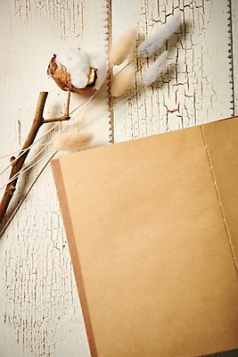 포토 JPG 스튜디오촬영 꽃 백그라운드 프레임 실내 사람없음 하이앵글 다이어리 목화꽃 목화솜 라그라스 국내포토 식물 뷰포인트 내부 사무용품 솜 파일형식