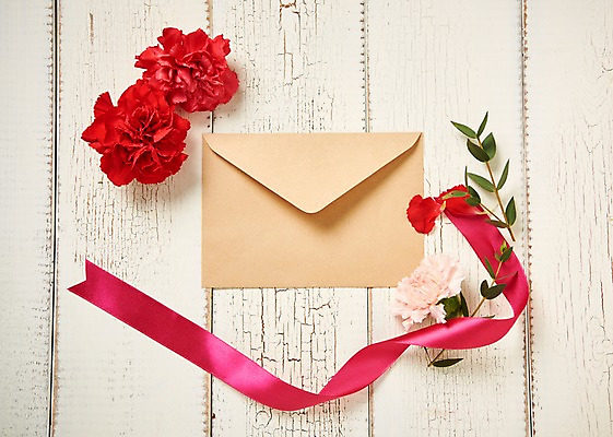 포토 JPG 스튜디오촬영 꽃 리본 백그라운드 편지봉투 실내 사람없음 하이앵글 카네이션 루스커스 국내포토 식물 뷰포인트 봉투 내부 편지 파일형식