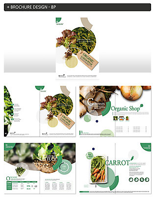 템플릿 ZIP 채소 건강 마늘 팜플렛 사람없음 당근 상추 시금치 알타리무 인디자인 INDD 이미지템플릿 뿌리채소 파일형식