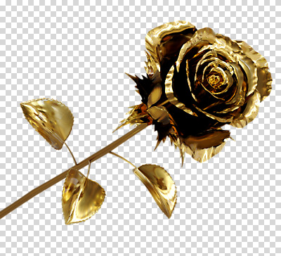 편집 편집이미지 한송이 사람없음 장미 3D소스 3D 금색 황금 입체 디지털합성 PNG 목업 편집소스 1 꽃 컬러 송이 파일형식