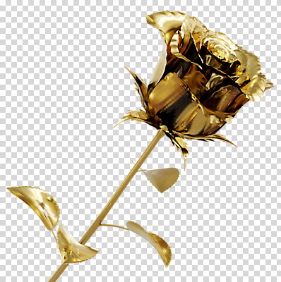 편집 편집이미지 한송이 사람없음 장미 3D소스 3D 금색 황금 입체 디지털합성 PNG 목업 편집소스 1 꽃 컬러 송이 파일형식
