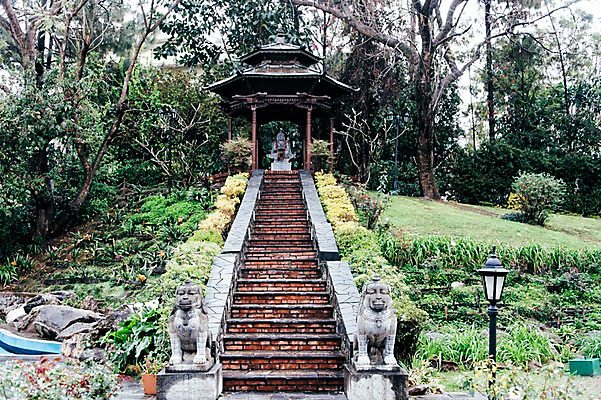 포토 JPG 주간 나무 해외풍경 자연 풍경 사람없음 야외 계단 정자 석상 네팔 안나푸르나 국내포토 자연요소 식물 해외 건축물 아시아 산 생태계 파일형식