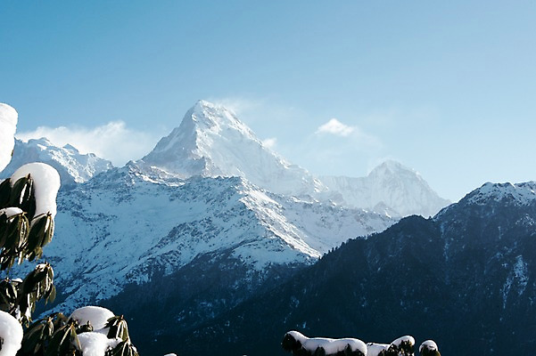 포토 JPG 주간 나무 해외풍경 자연 하늘 산 풍경 사람없음 야외 눈 만년설 네팔 히말라야 안나푸르나 국내포토 자연요소 식물 해외 아시아 날씨 생태계 파일형식 산맥
