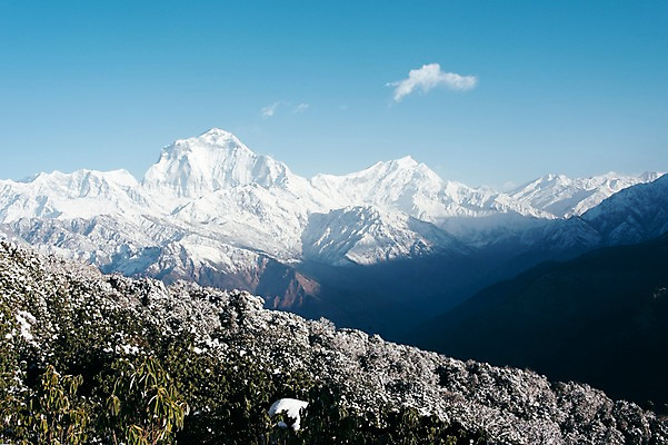 포토 JPG 주간 해외풍경 자연 하늘 산 풍경 사람없음 야외 눈 만년설 네팔 히말라야 안나푸르나 국내포토 자연요소 해외 아시아 날씨 생태계 파일형식 산맥