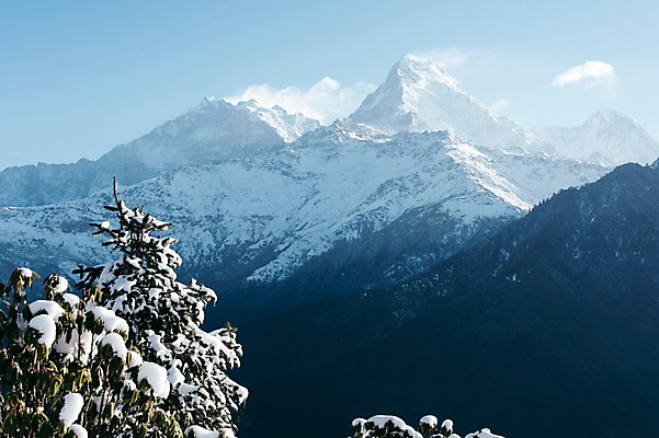 포토 JPG 주간 나무 해외풍경 자연 하늘 산 풍경 사람없음 야외 눈 만년설 네팔 히말라야 안나푸르나 국내포토 자연요소 식물 해외 아시아 날씨 생태계 파일형식 산맥