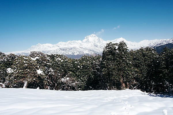 포토 JPG 주간 나무 해외풍경 자연 하늘 산 풍경 사람없음 야외 눈 만년설 네팔 히말라야 안나푸르나 국내포토 자연요소 식물 해외 아시아 날씨 생태계 파일형식 산맥