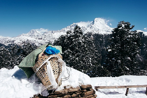포토 JPG 주간 나무 해외풍경 자연 하늘 산 풍경 사람없음 야외 짐 눈 만년설 네팔 히말라야 안나푸르나 국내포토 자연요소 식물 해외 아시아 날씨 생태계 파일형식 산맥